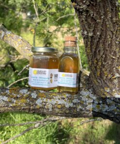 Acacia - Mesquite Honey