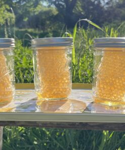 Comb Honey