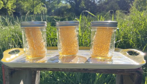 Comb Honey