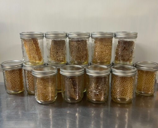 Comb Honey - Image 2