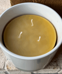 LadyBird 3 wick Candle